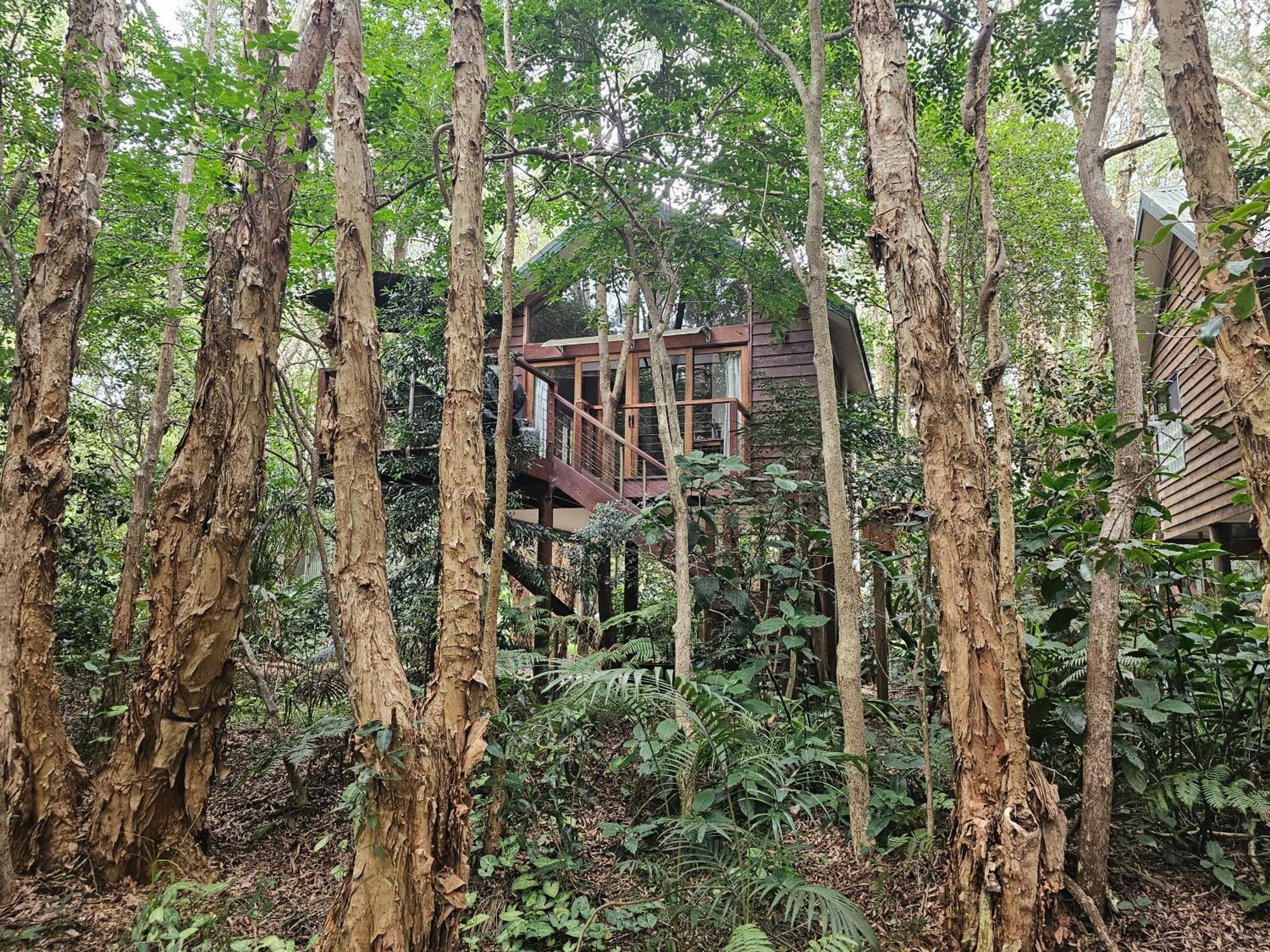 Готель Wanderers Retreat Нельсон-Бей Екстер'єр фото